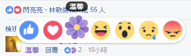 Facebook 再度開放母親節隱藏心情按鈕「溫馨」 008