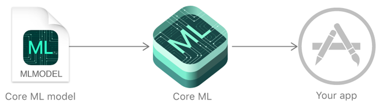 Core ML 機器學習框架是什麼？ core-ml-overview