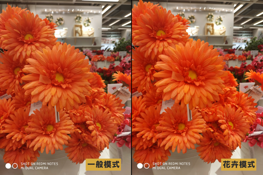 紅米 Note 5 入手評測：一拍上癮，衝破「千元機」極限拍照體驗 mi15555555-900x598