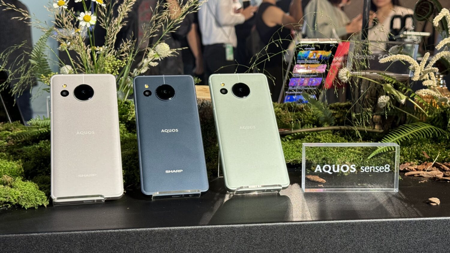 夏普推出中階高性能 5G 手機 AQUOS sense8，單手好握，大感光元件讓你輕鬆拍美照！ IMG_0526-1500x844