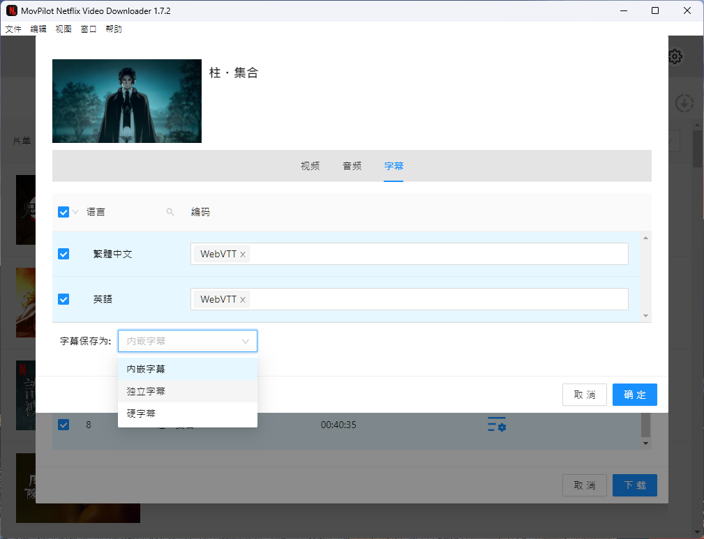 Netflix 影片下載工具：MovPilot Netflix Video Downloader MovPilot-影片設定-字幕