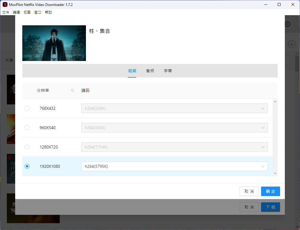 Netflix 影片下載工具：MovPilot Netflix Video Downloader MovPilot-影片設定-畫質