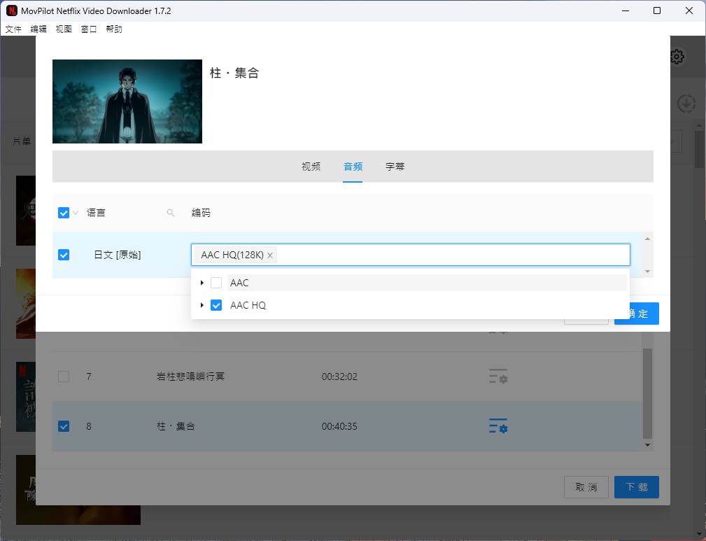 Netflix 影片下載工具：MovPilot Netflix Video Downloader MovPilot-影片設定-音質